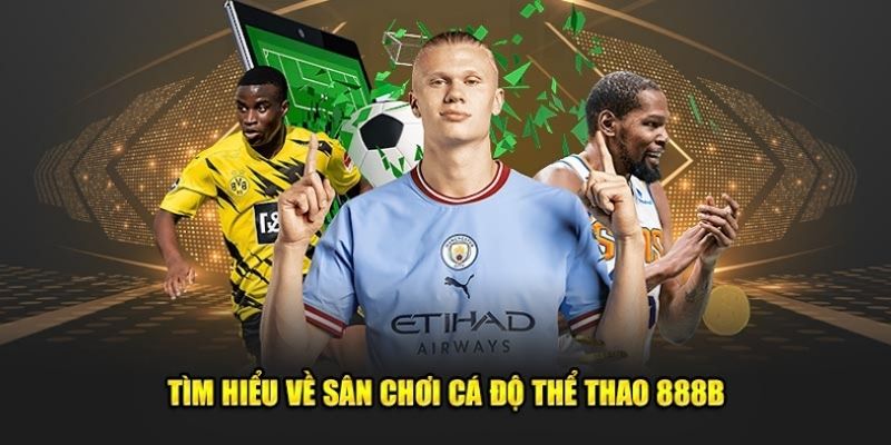 Tổng quan về sảnh thể thao tại nhà cái trực tuyến 888B